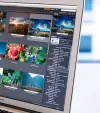 Adobe Bridge 2026 (v16.0.6) Multilingual